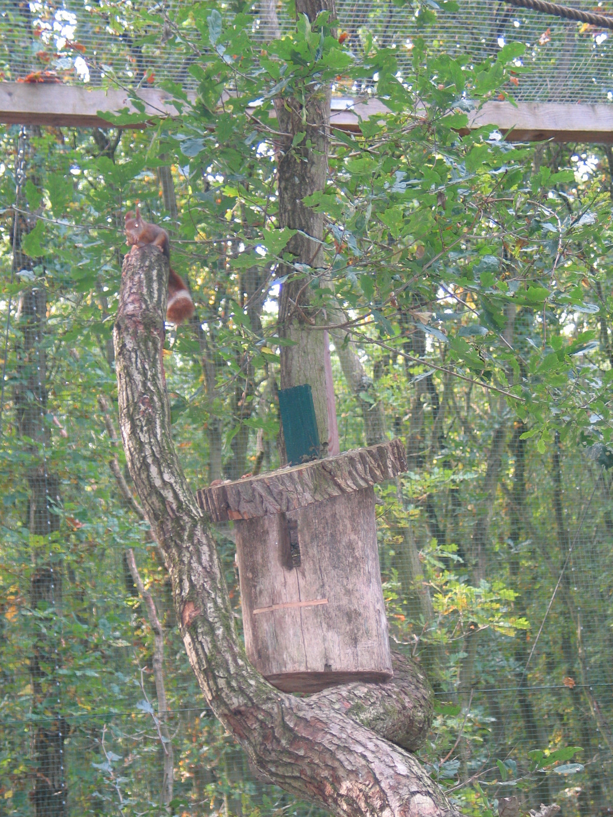 Gustrow, NUP / October 2005