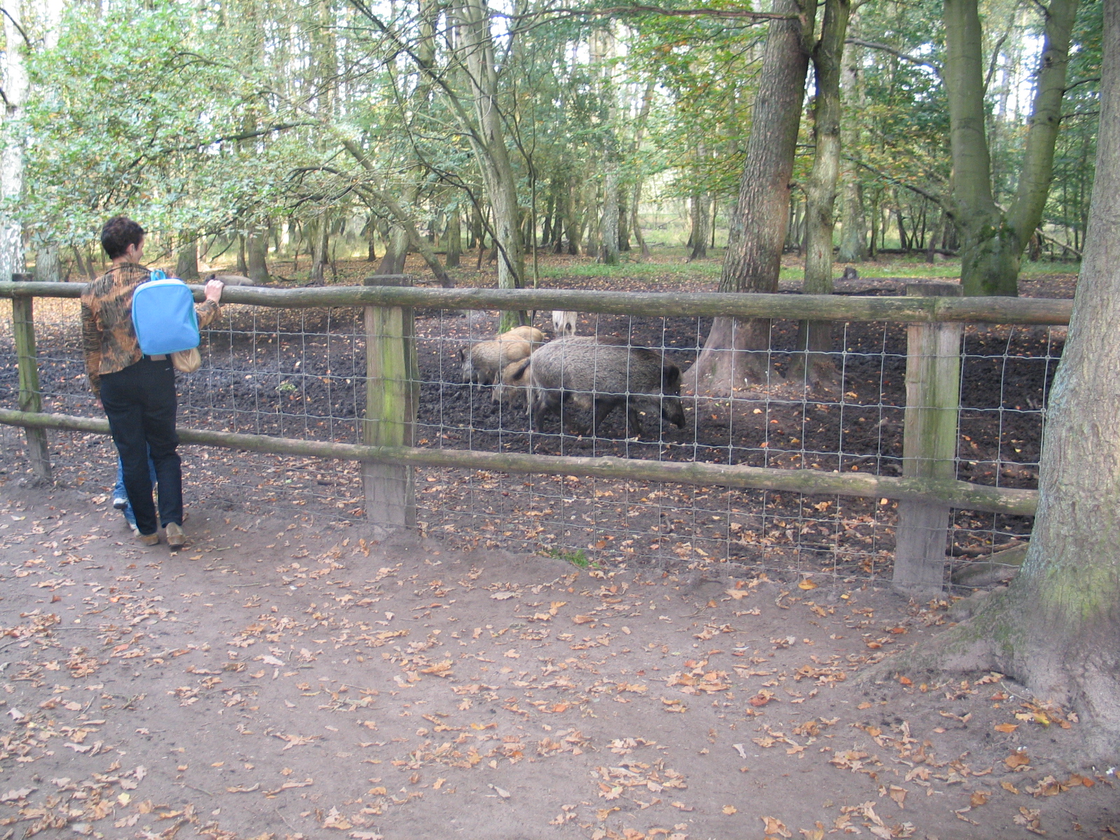 Gustrow, NUP / October 2005