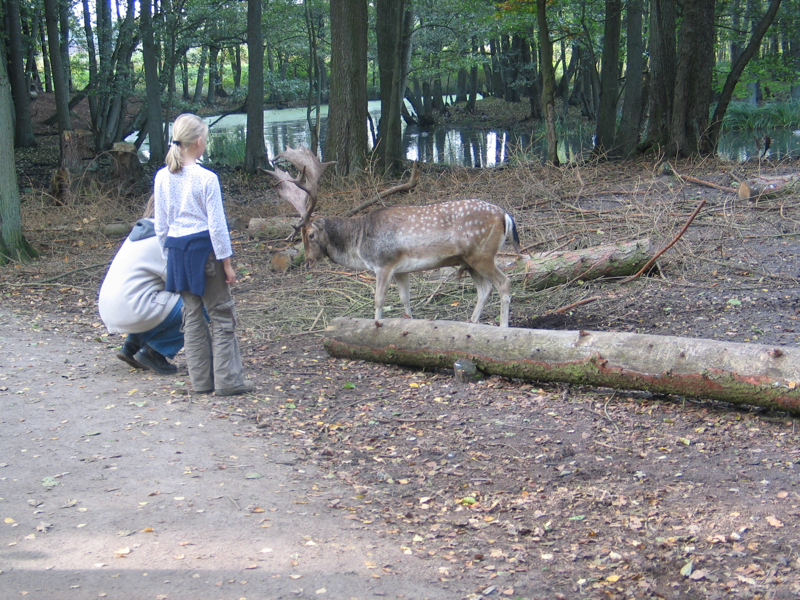 Gustrow, NUP / October 2005