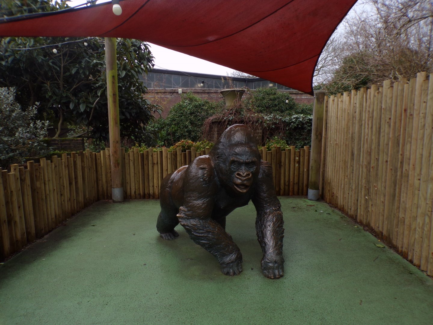 Guy the gorilla statue 11.2.25
