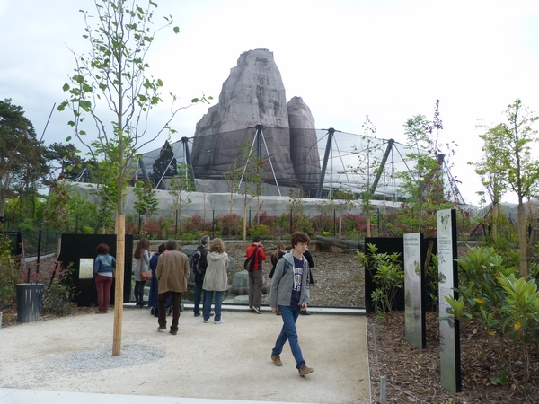Guyane; Bushdog enclosure