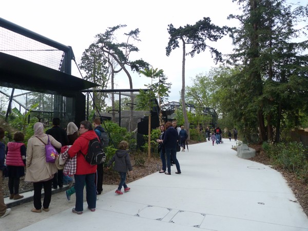 Guyane; Jaguar enclosure