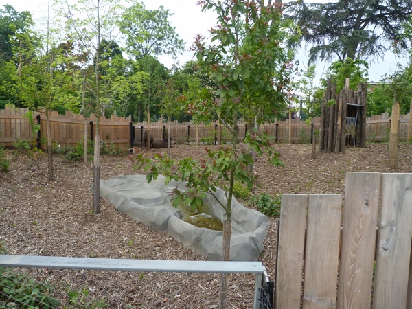 Guyane; temporary tapir paddock