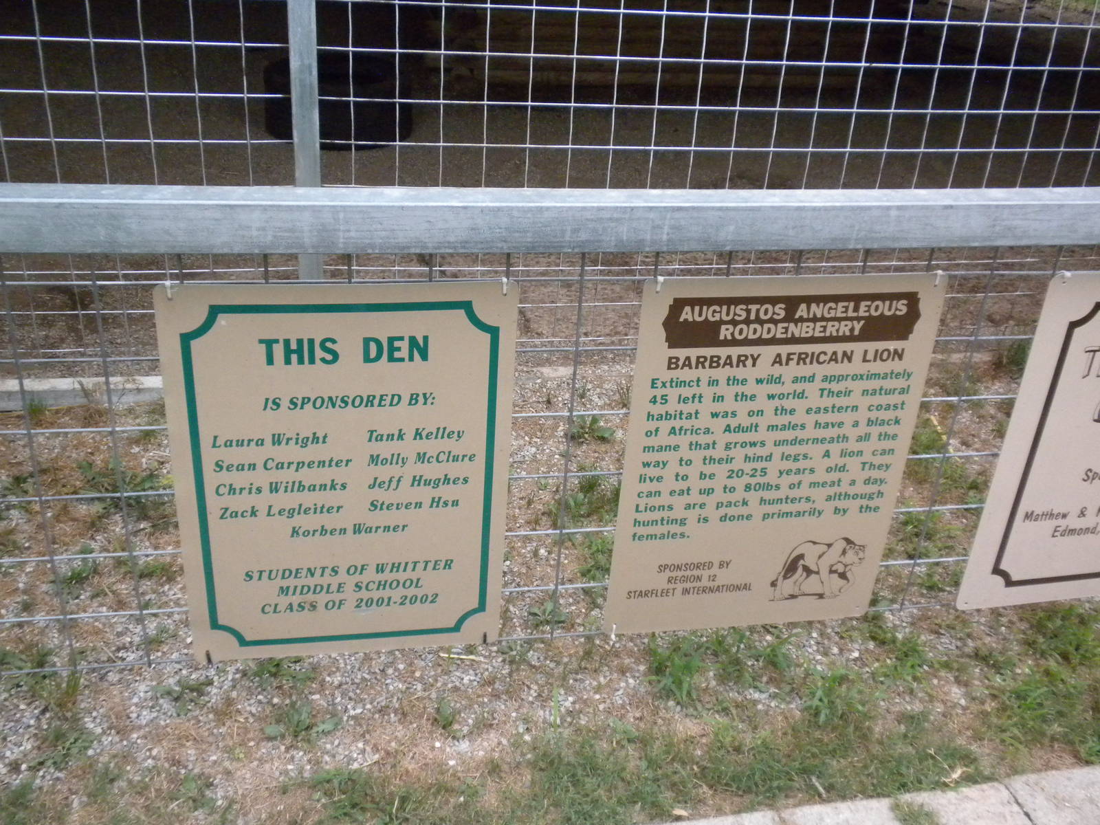 GW Exotic Animal Memorial Park - "Barbary" Lion