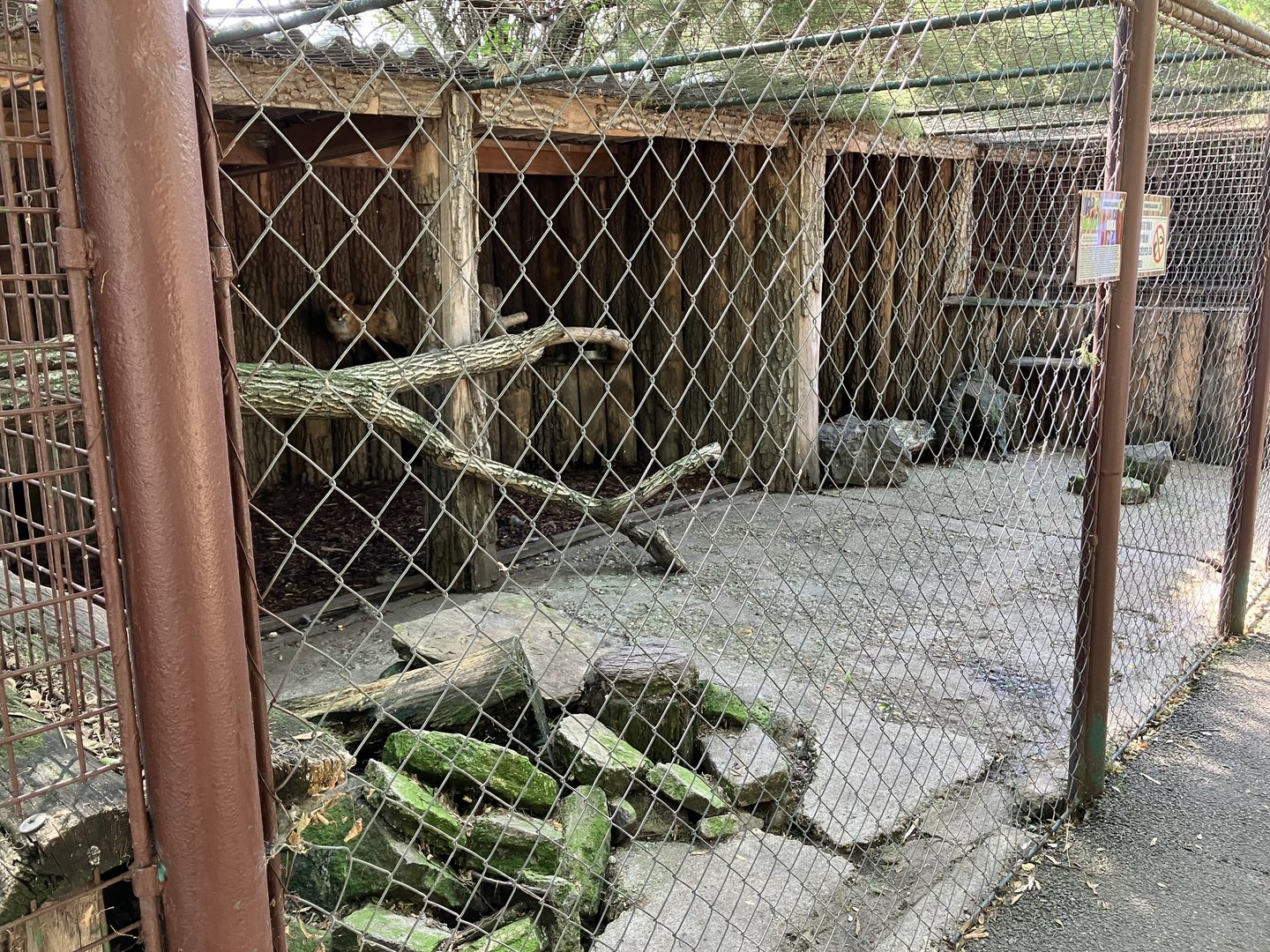 Gyöngyös zoo