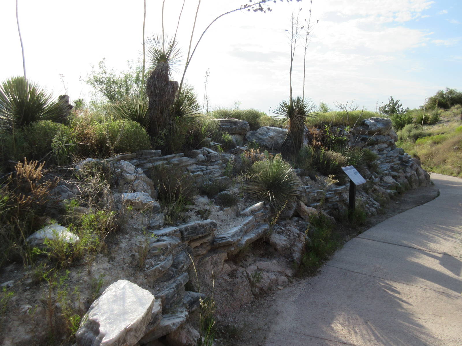 Gypsum rock along pathway