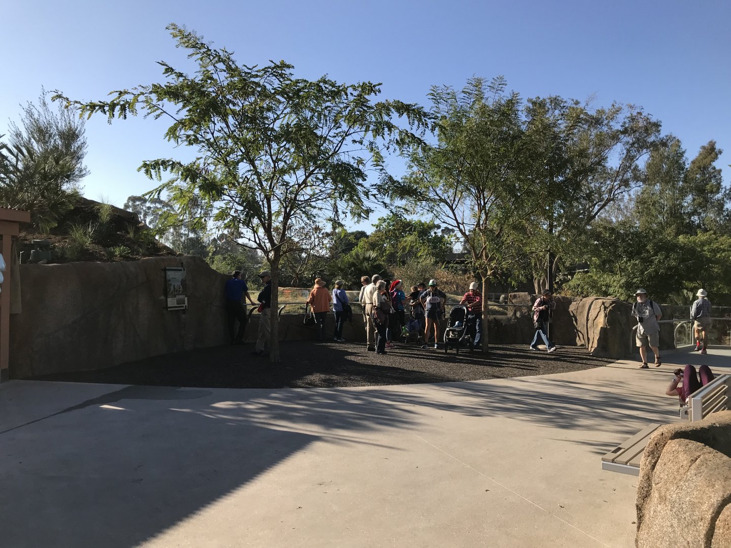 H Baboon 1 Viewing Area 1