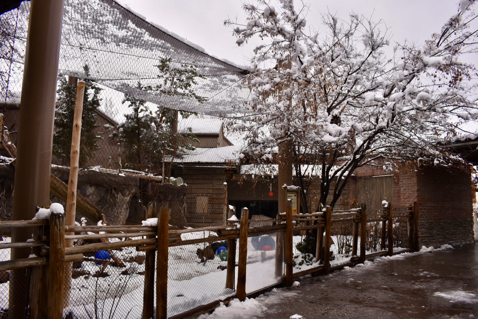 Habitat 1 - Asian Highlands