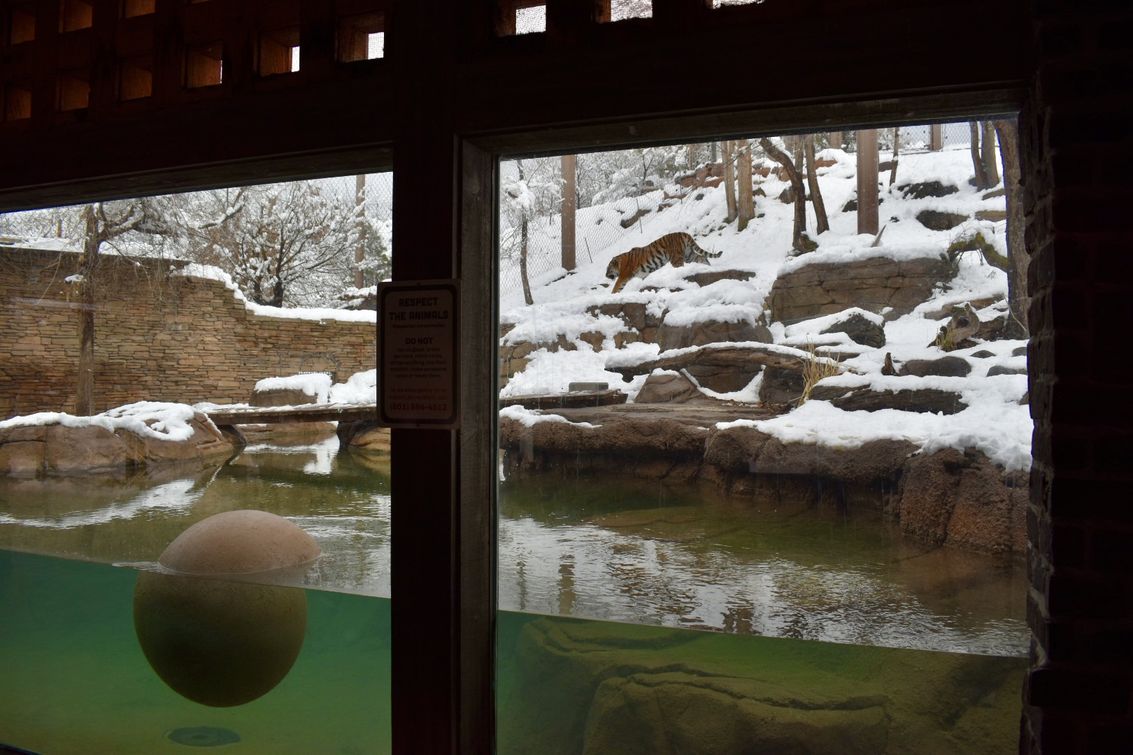 Habitat 4 - Asian Highlands