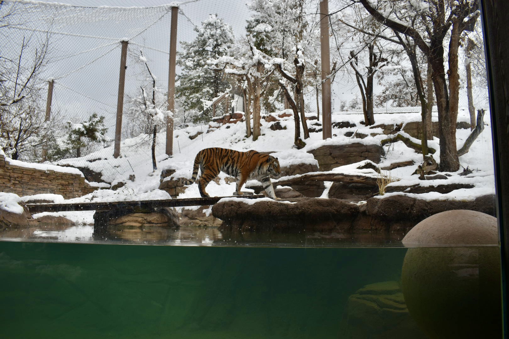 Habitat 4 - Asian Highlands