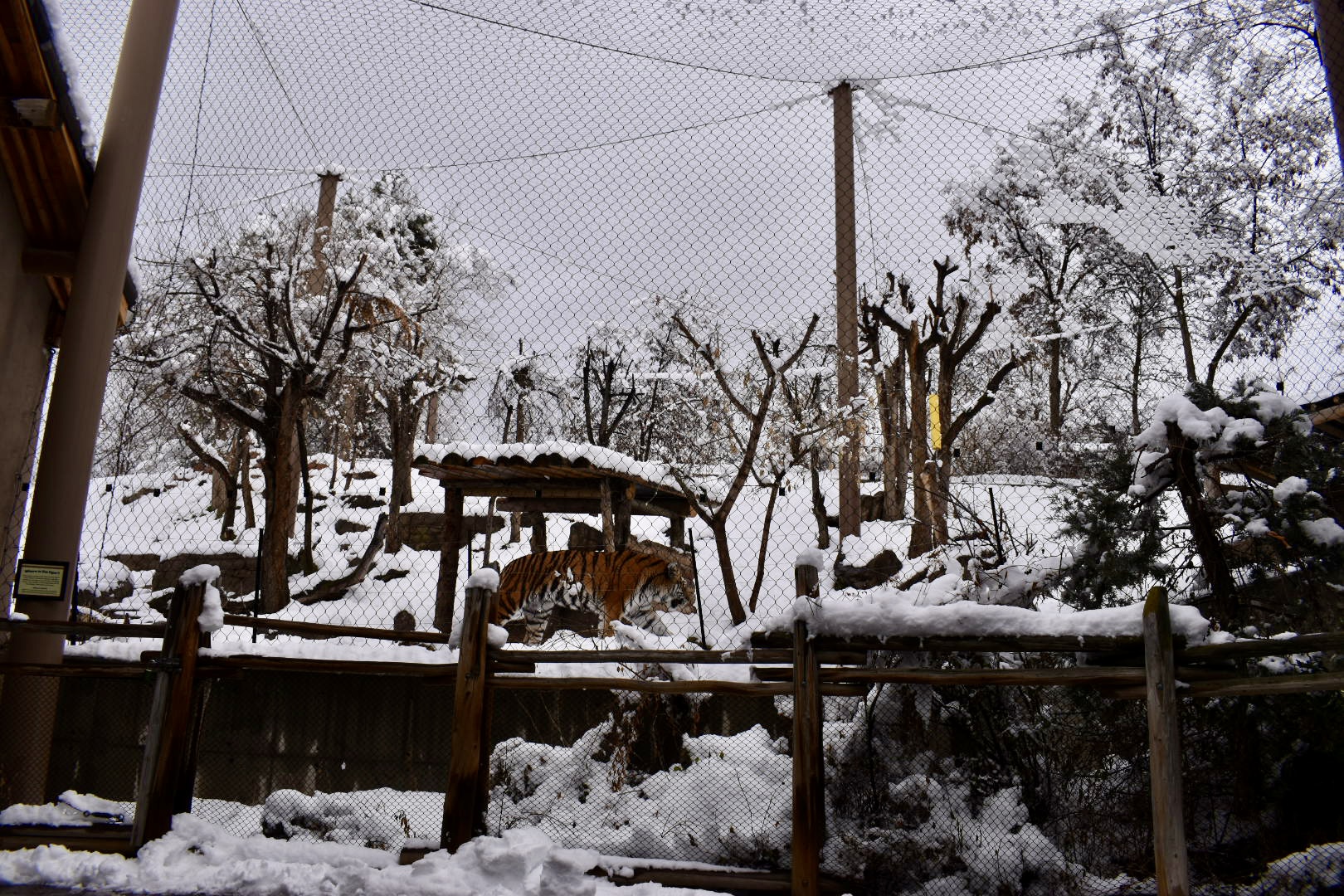 Habitat 4 - Asian Highlands