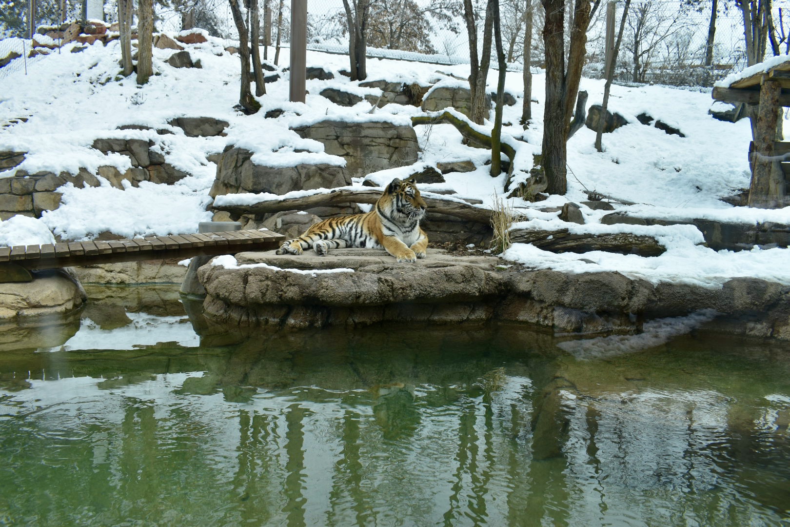 Habitat 4 - Asian Highlands