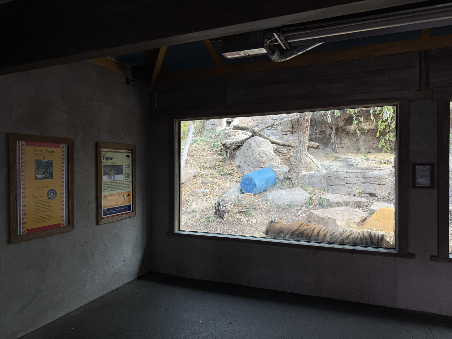 Habitat 5 Viewing - Asian Highlands