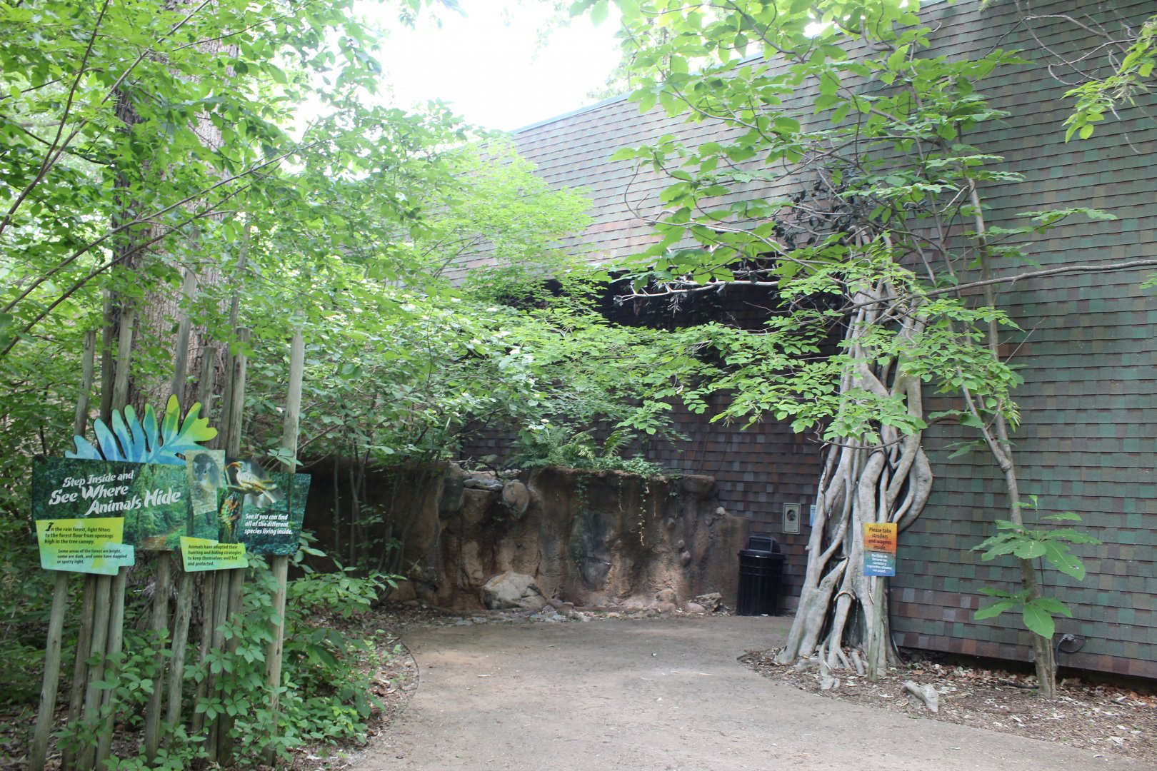 Habitat Africa: The Forest - African Forest House