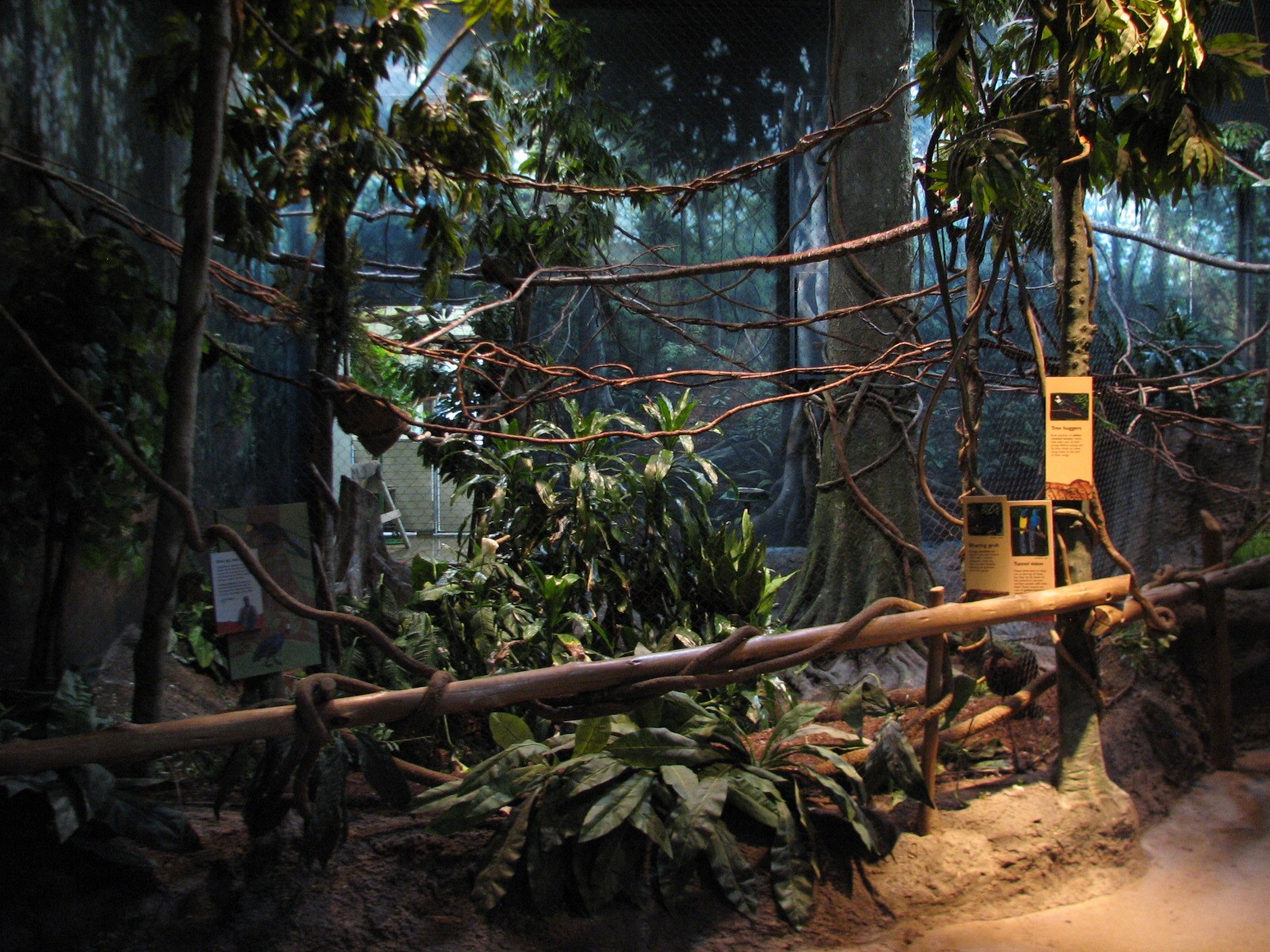 Habitat Africa! The Forest - Birds Exhibit