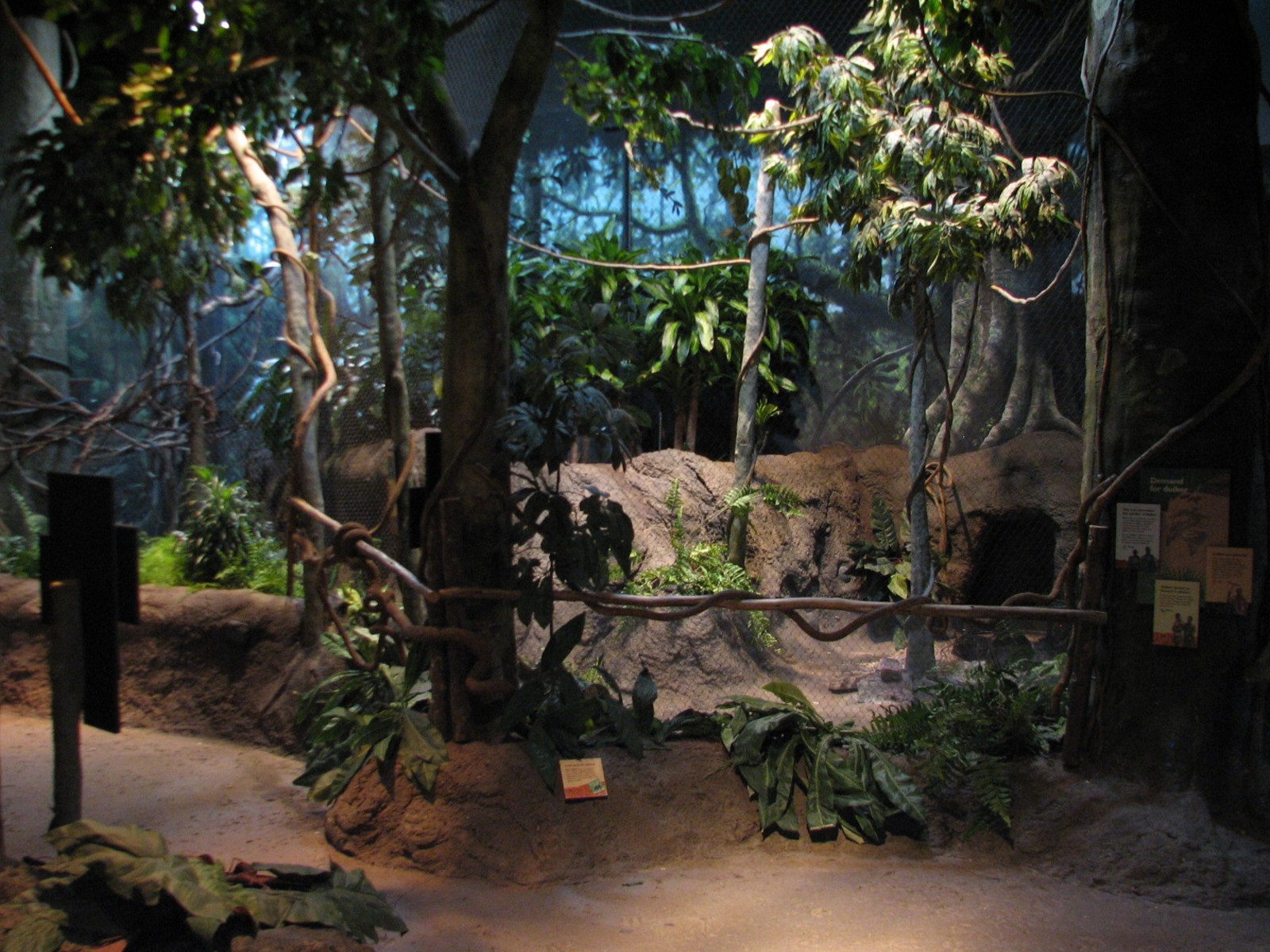 Habitat Africa! The Forest - Blue Duiker Exhibit Viewing Area