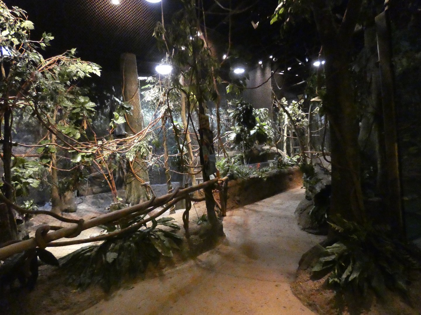 Habitat Africa, The Forest Building - Jun. 2021