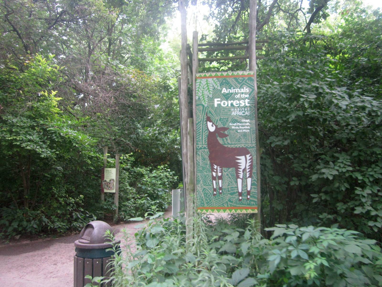 Habitat Africa! The Forest Entrance