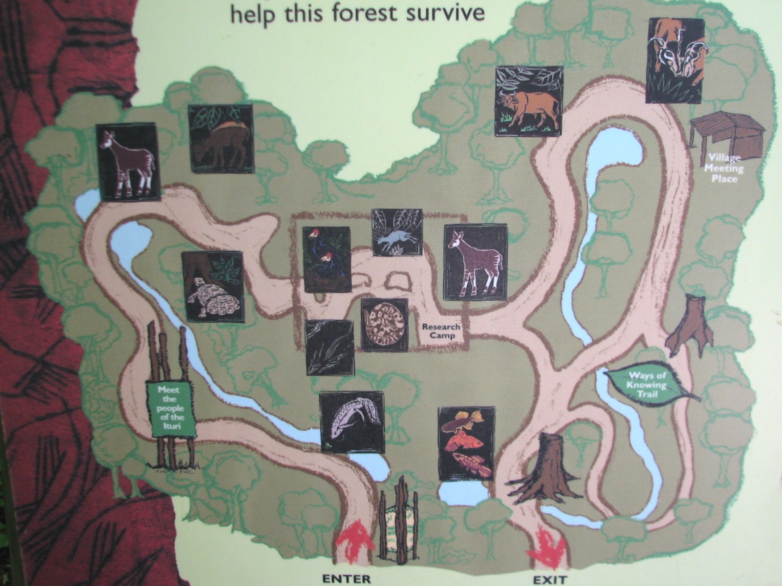 Habitat Africa! The Forest - Map