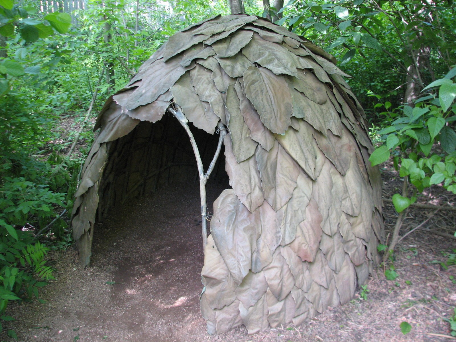 Habitat Africa! The Forest - Mbuti Ways of Knowing Trail