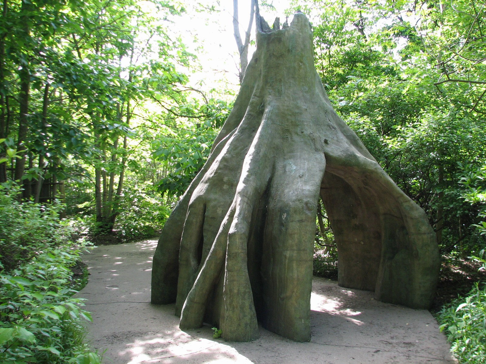 Habitat Africa! The Forest - Mbuti Ways of Knowing Trail