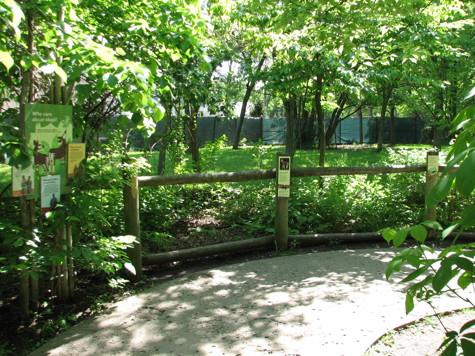 Habitat Africa! The Forest - Okapi Exhibit 1 Viewing Area
