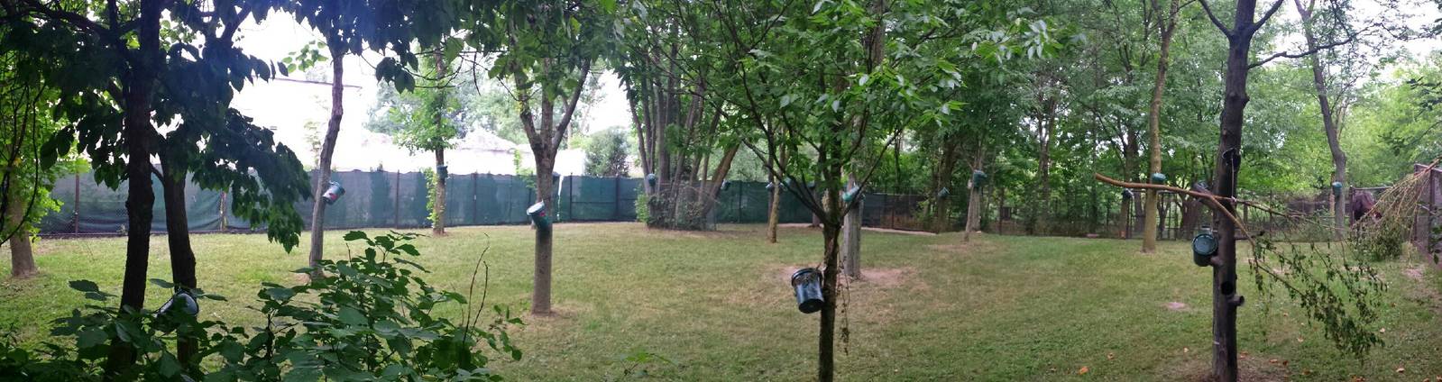 Habitat Africa! - The Forest - Okapi Exhibit