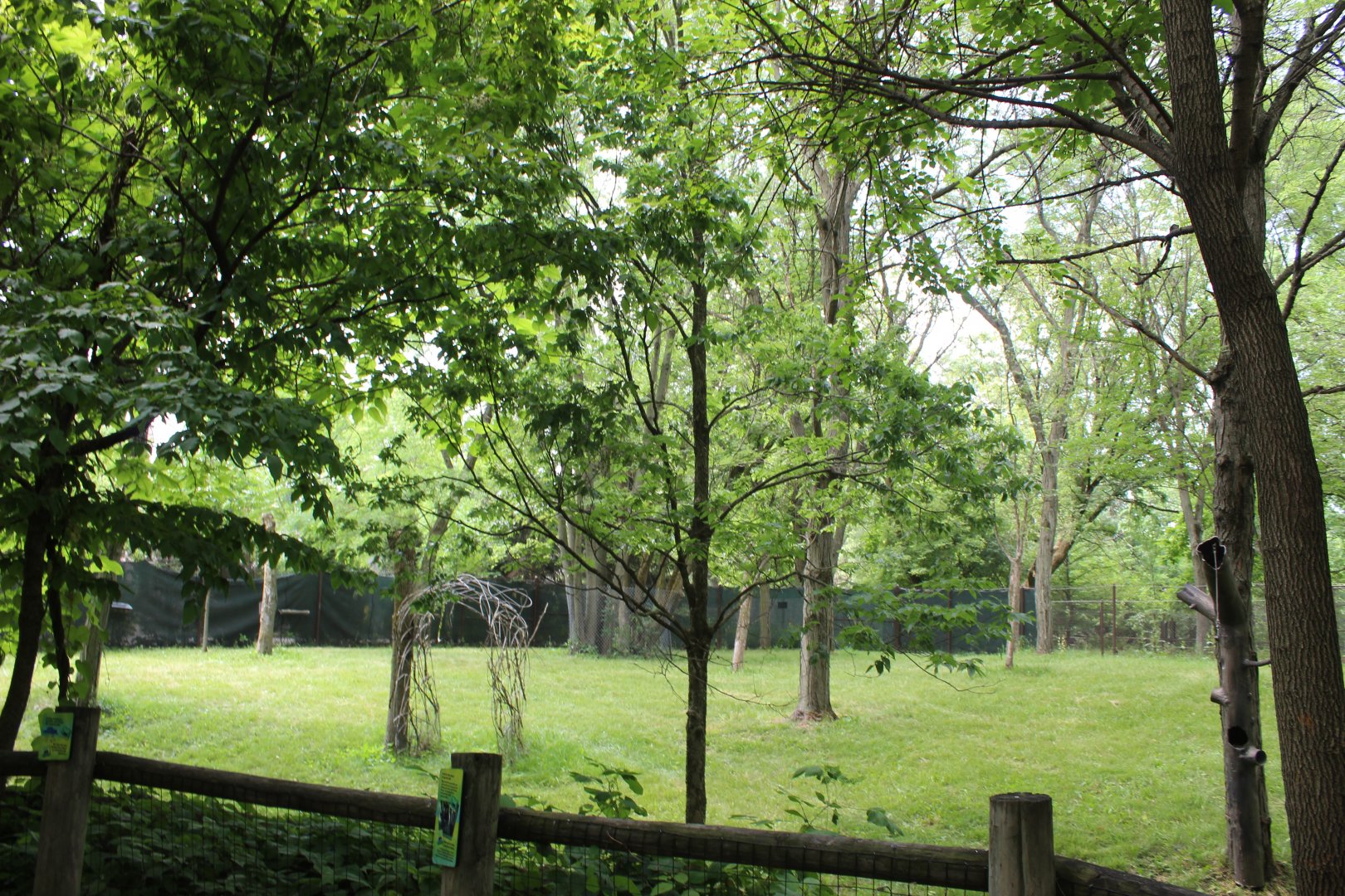Habitat Africa: The Forest - Okapi Exhibit