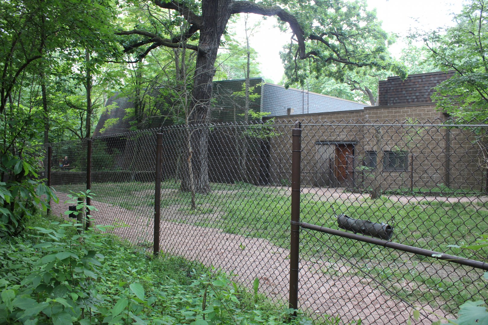 Habitat Africa: The Forest - Okapi Exhibit