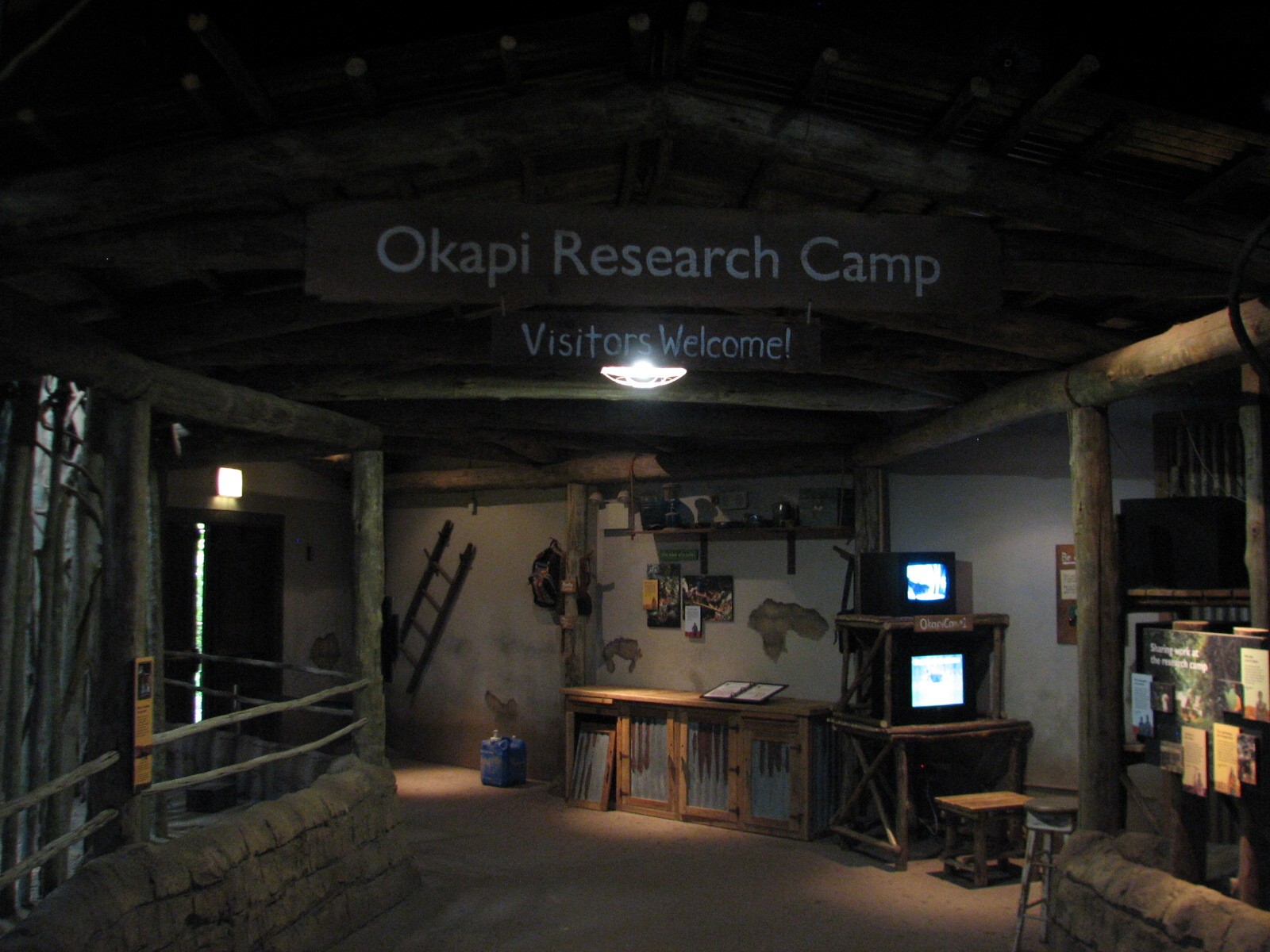 Habitat Africa! The Forest - Okapi Research Camp