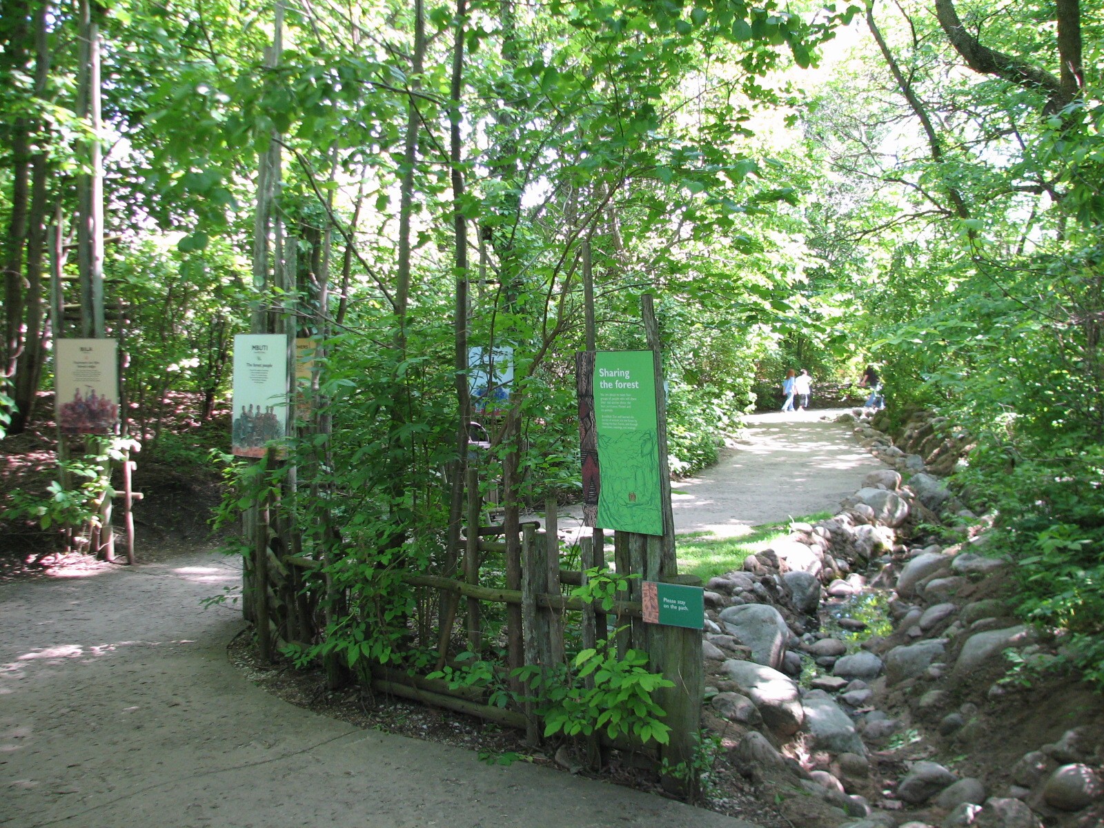 Habitat Africa! The Forest - Path