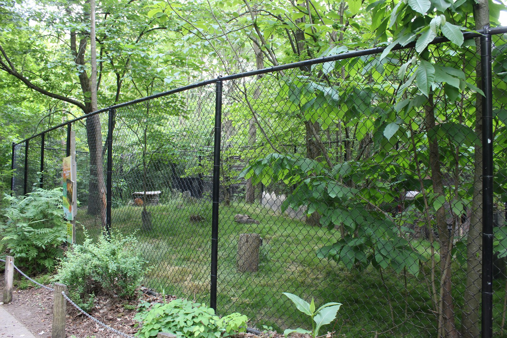 Habitat Africa: The Forest - Red-Flanked Duiker Exhibit
