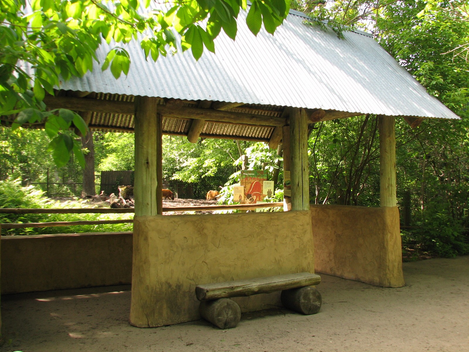 Habitat Africa! The Forest - Red River Hog Exhibit Viewing Shelter