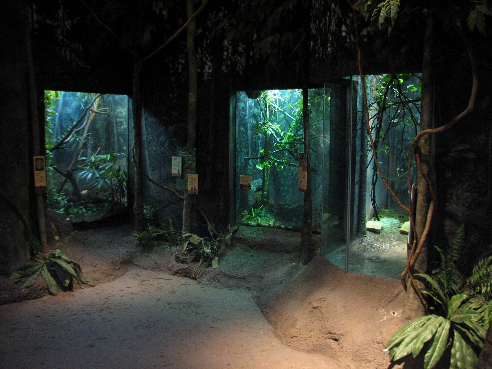 Habitat Africa! The Forest - Terrariums