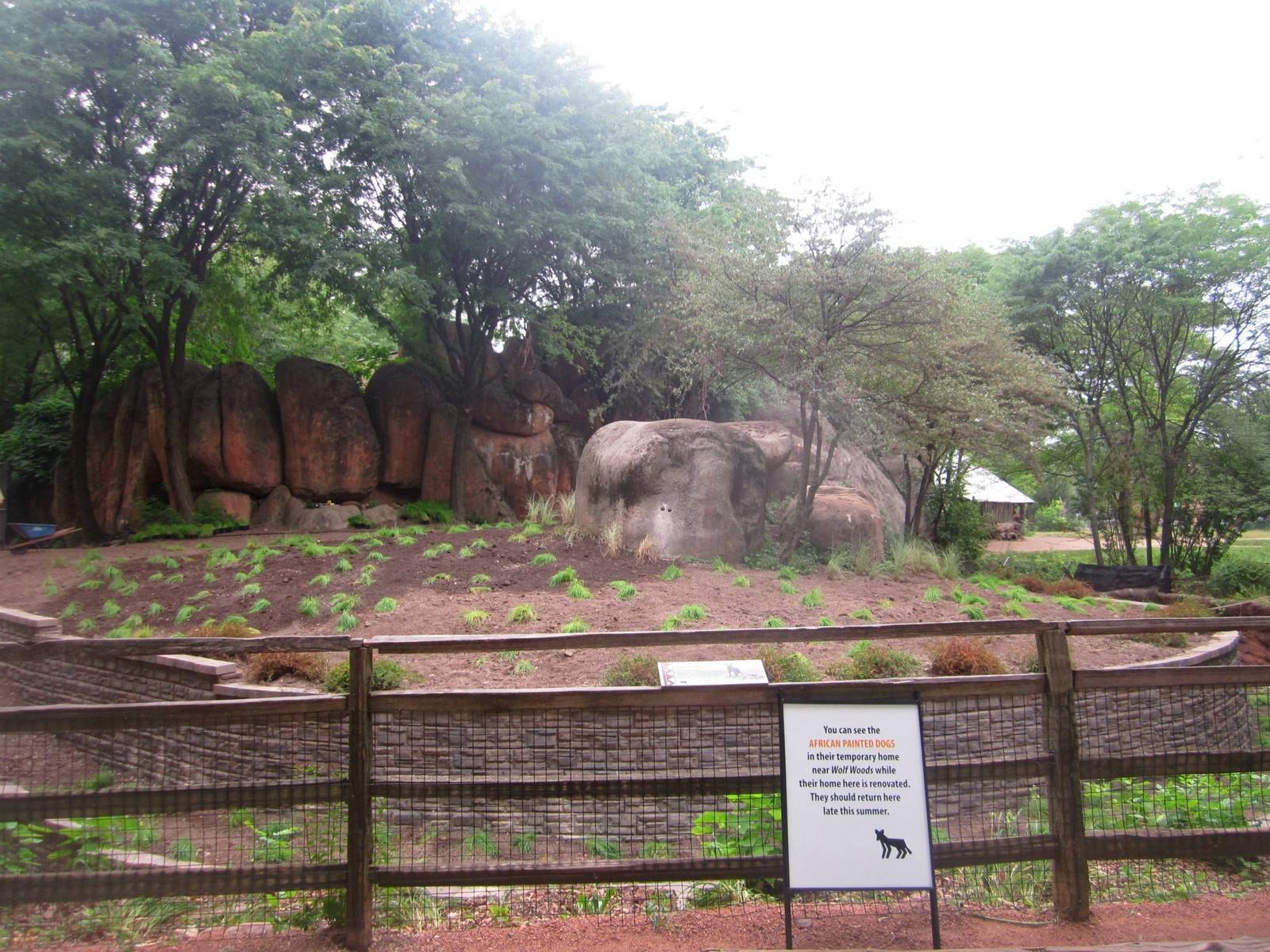 Habitat Africa! The Savanna - African Wild Dog Exhibit
