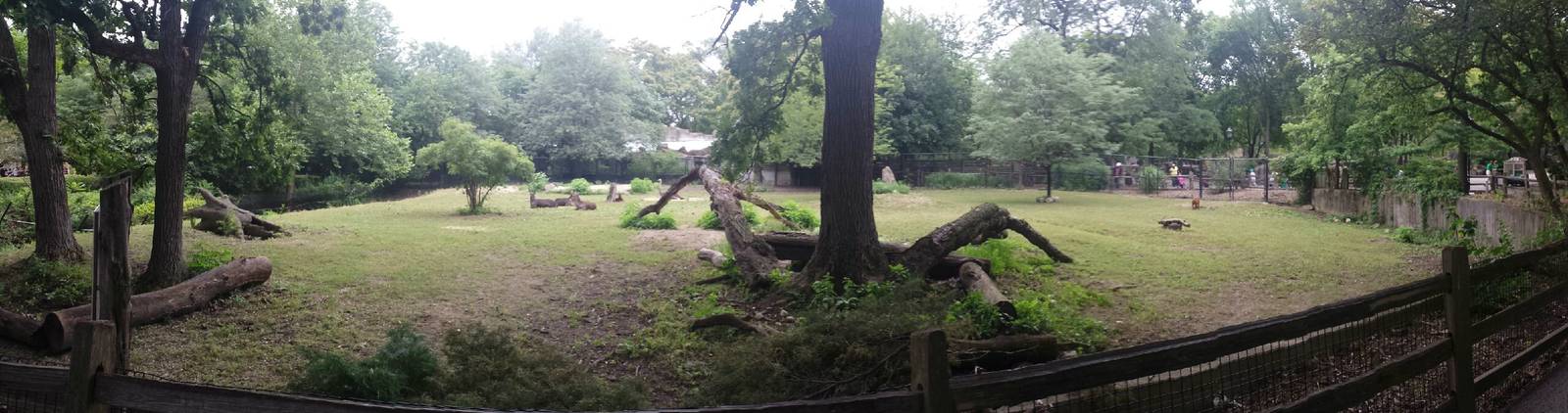 Habitat Africa! - The Savanna - Defassa Waterbuck + Ostrich + Red River Hog