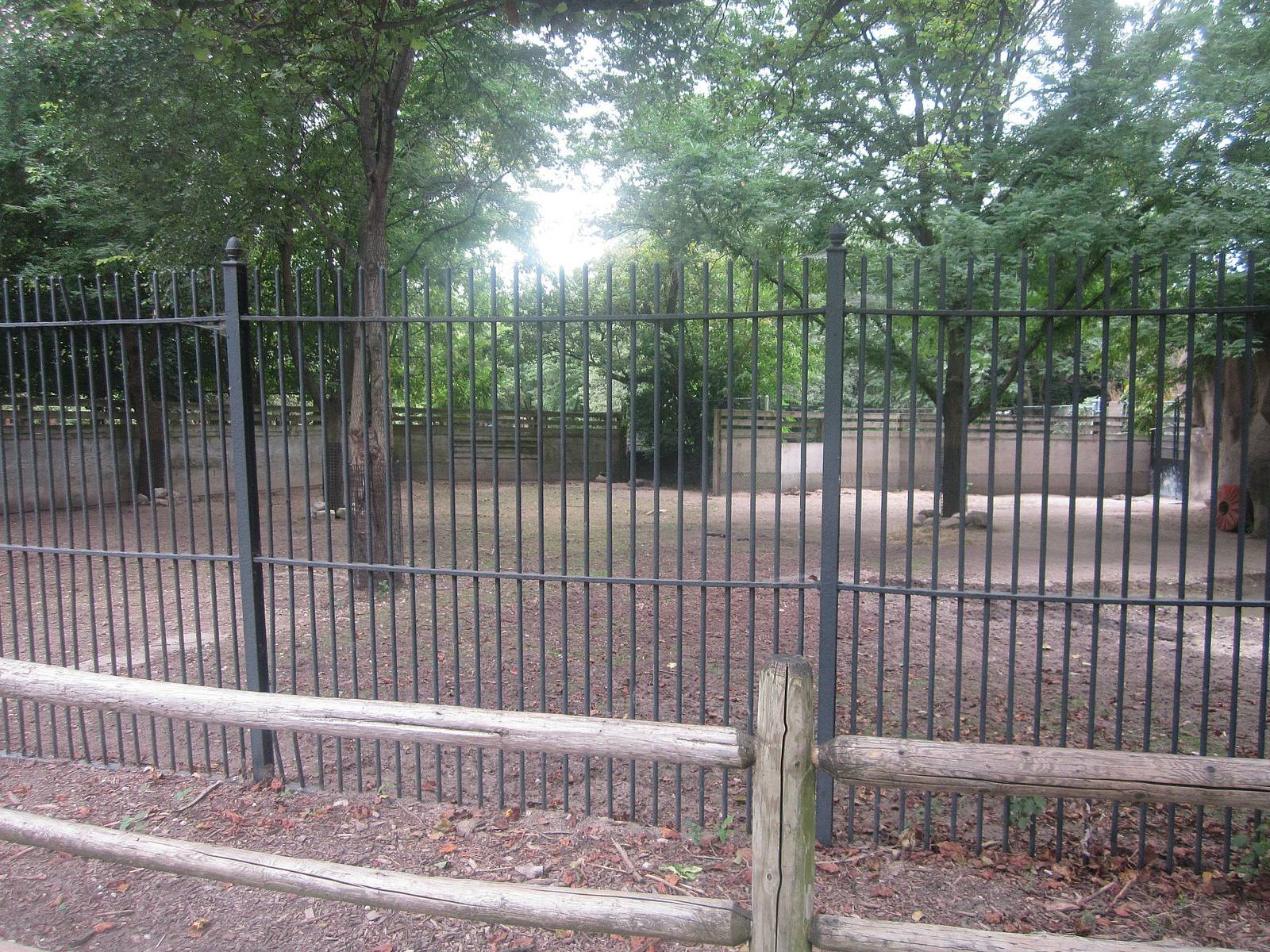 Habitat Africa! The Savanna - Warthog Exhibit