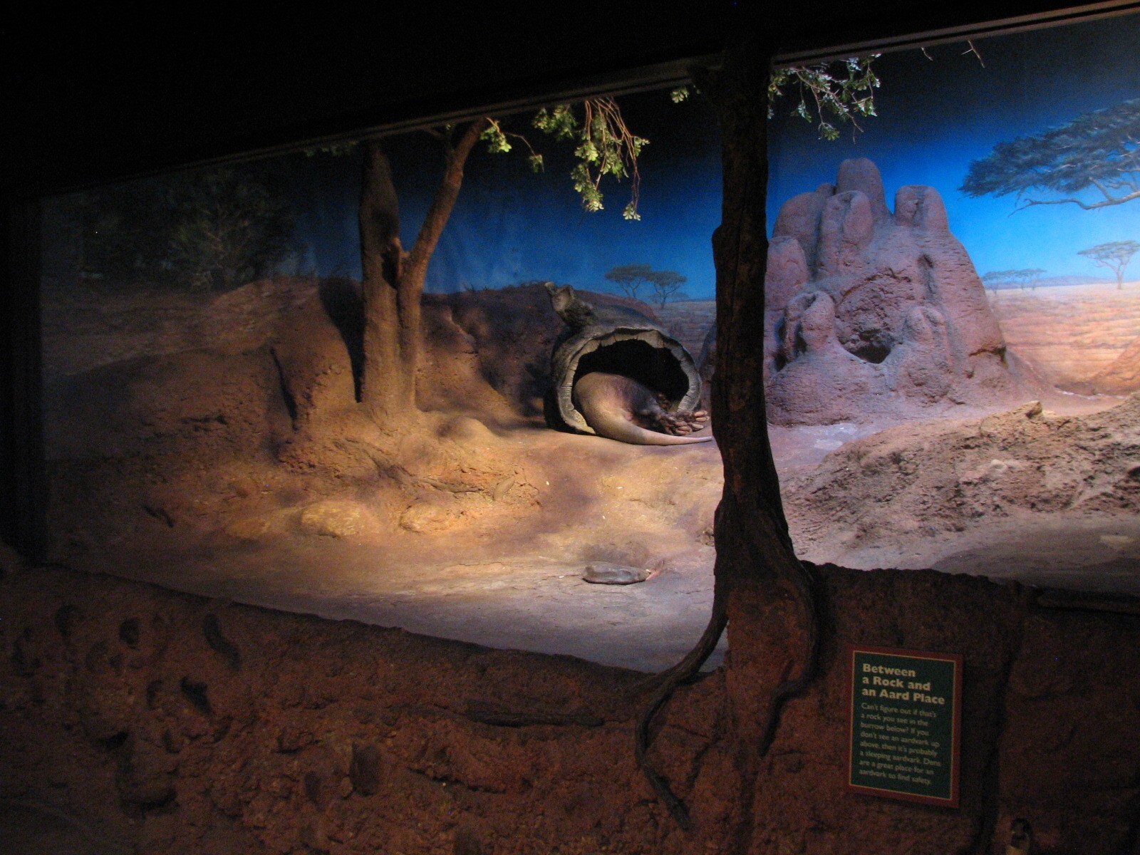 Habitat Africa! The Savannah - Aardvark Exhibit