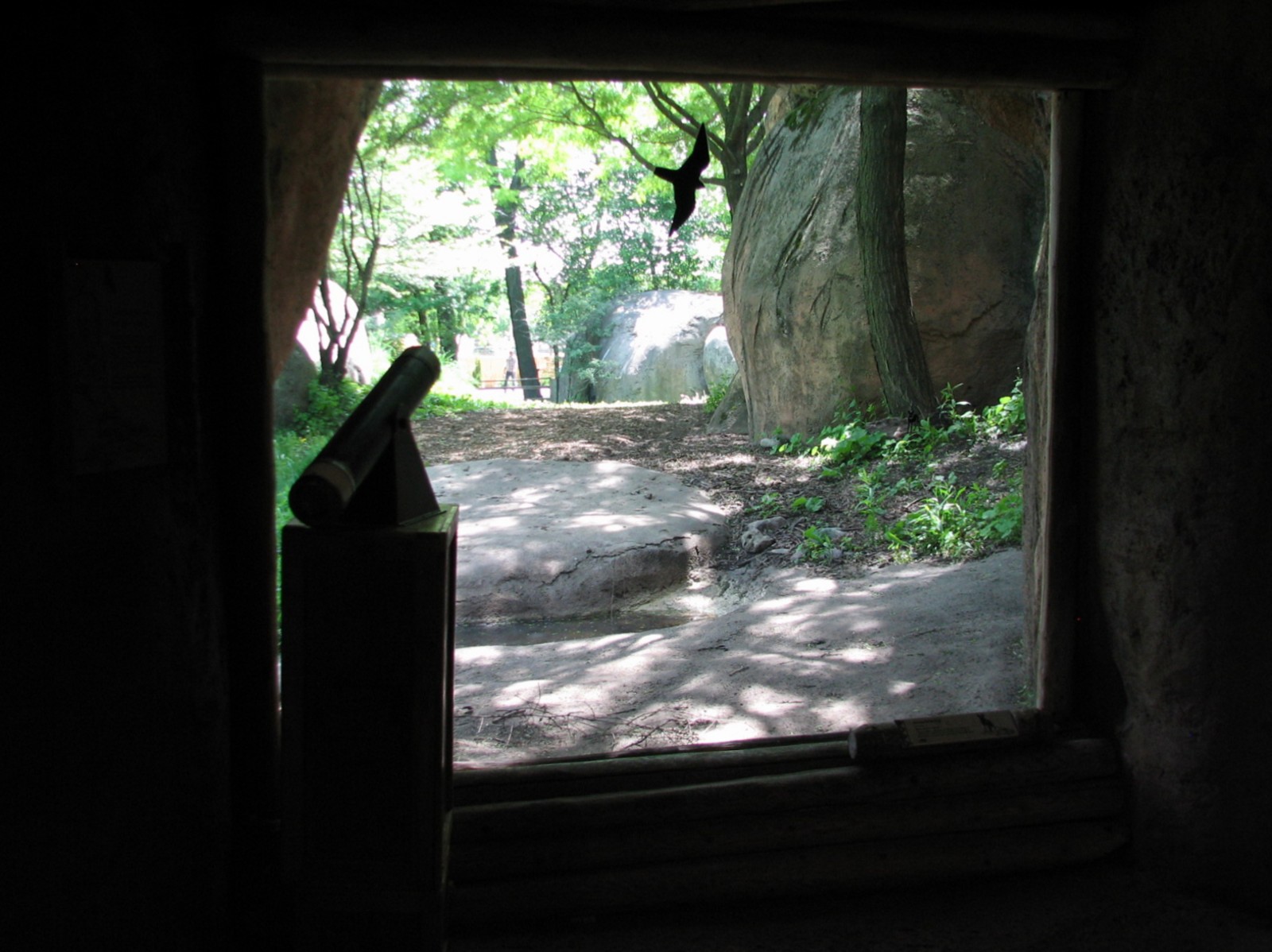 Habitat Africa! The Savannah - African Wild Dog Exhibit View from Building