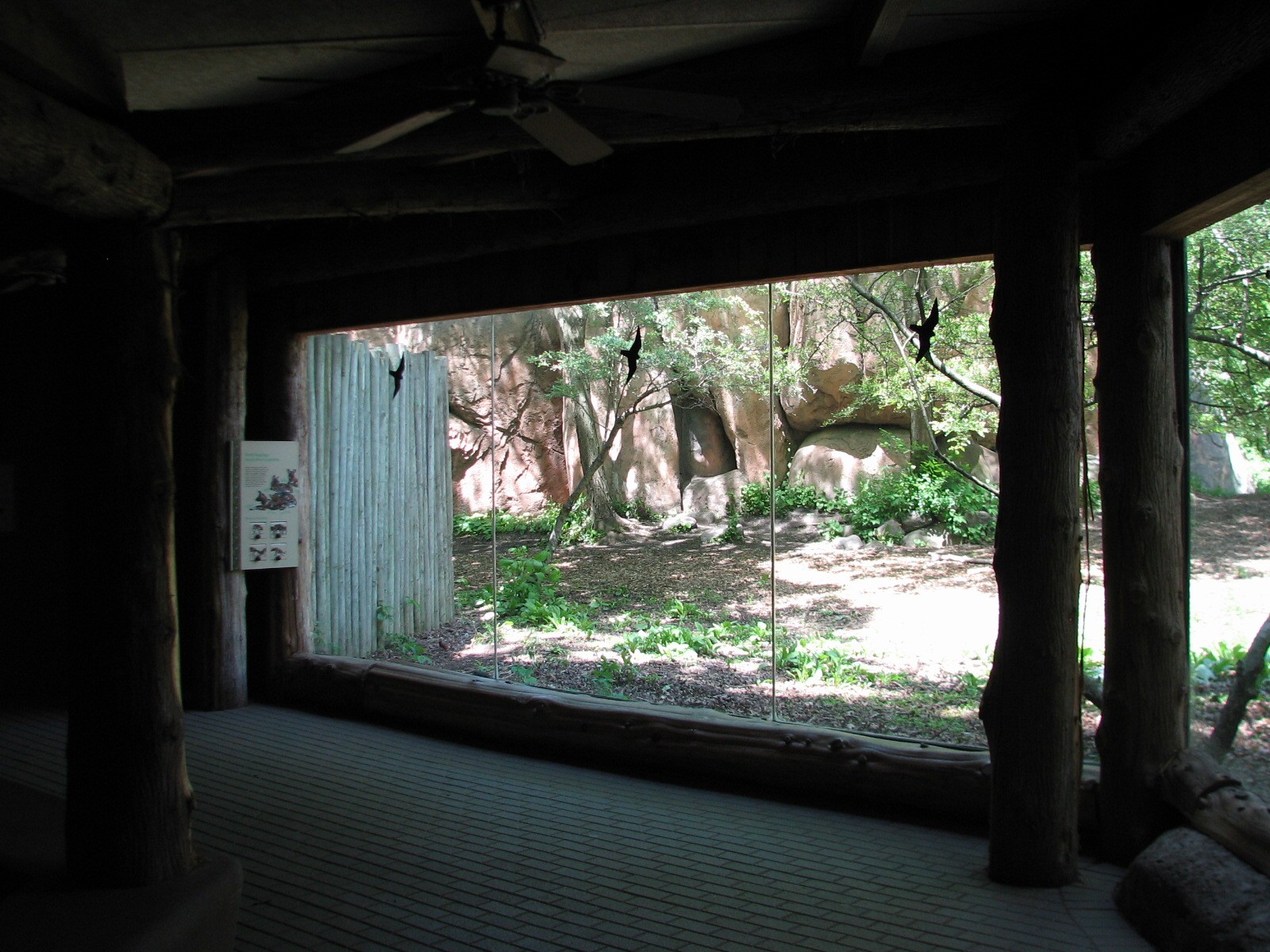 Habitat Africa! The Savannah - African Wild Dog Exhibit Viewing Shelter
