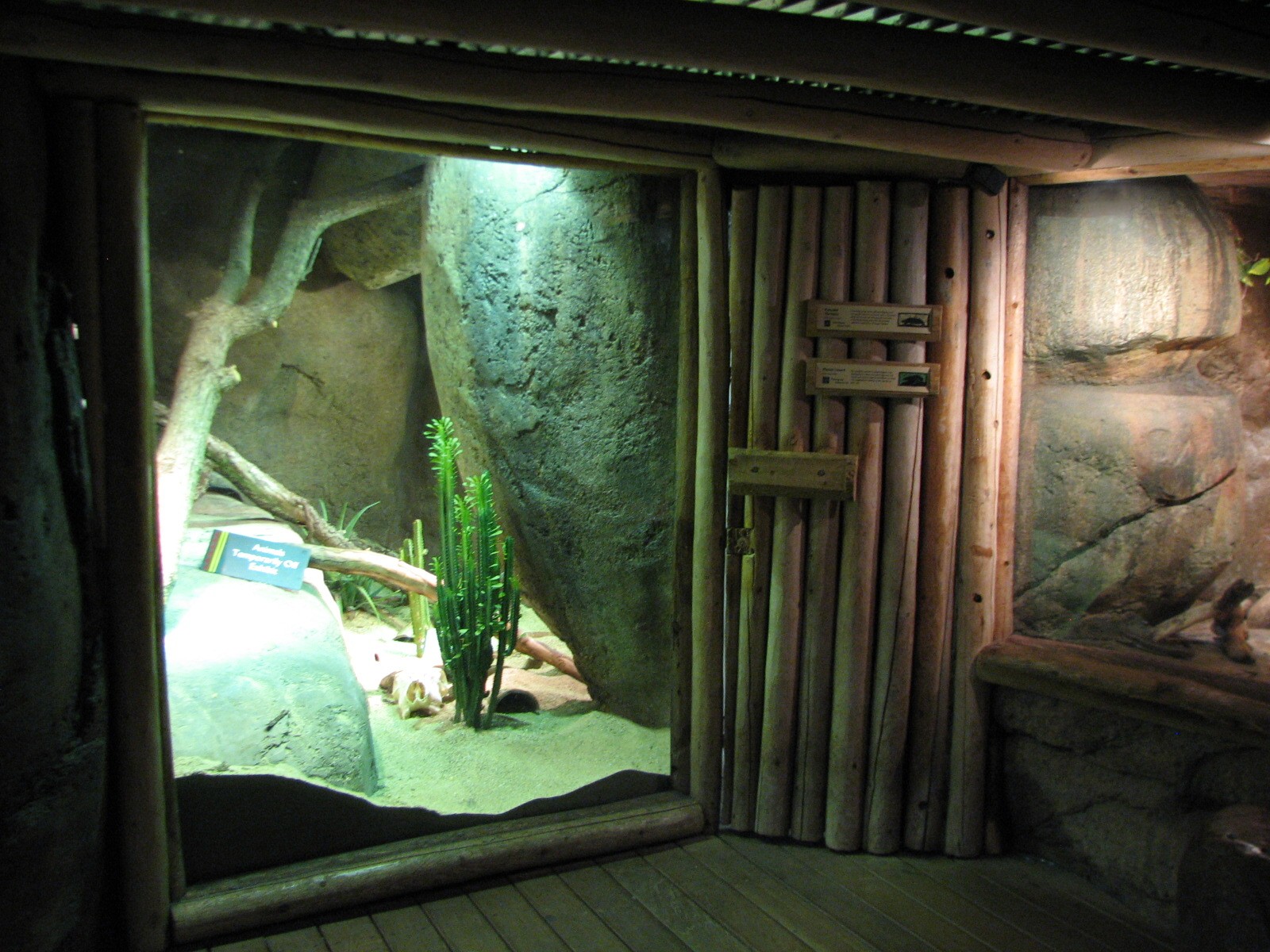 Habitat Africa! The Savannah - Empty and Pancake Tortoise and Plated Lizard