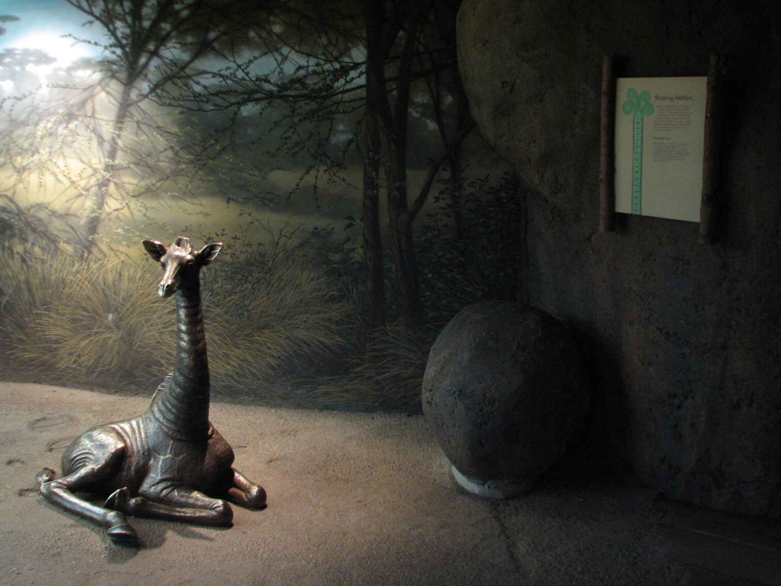 Habitat Africa! The Savannah - Giraffe Bedroom Viewing Area