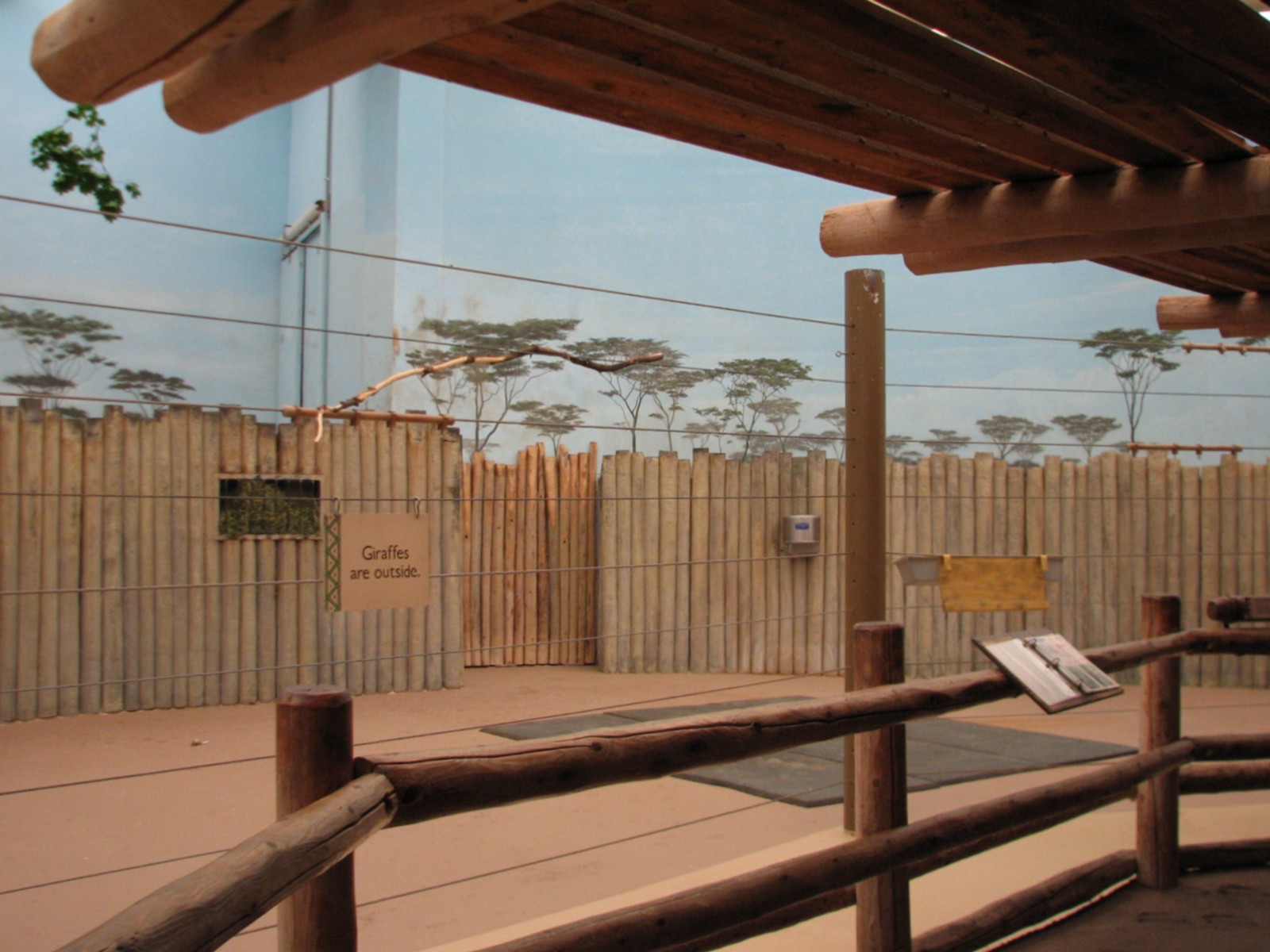 Habitat Africa! The Savannah - Giraffe Bedroom Viewing Area
