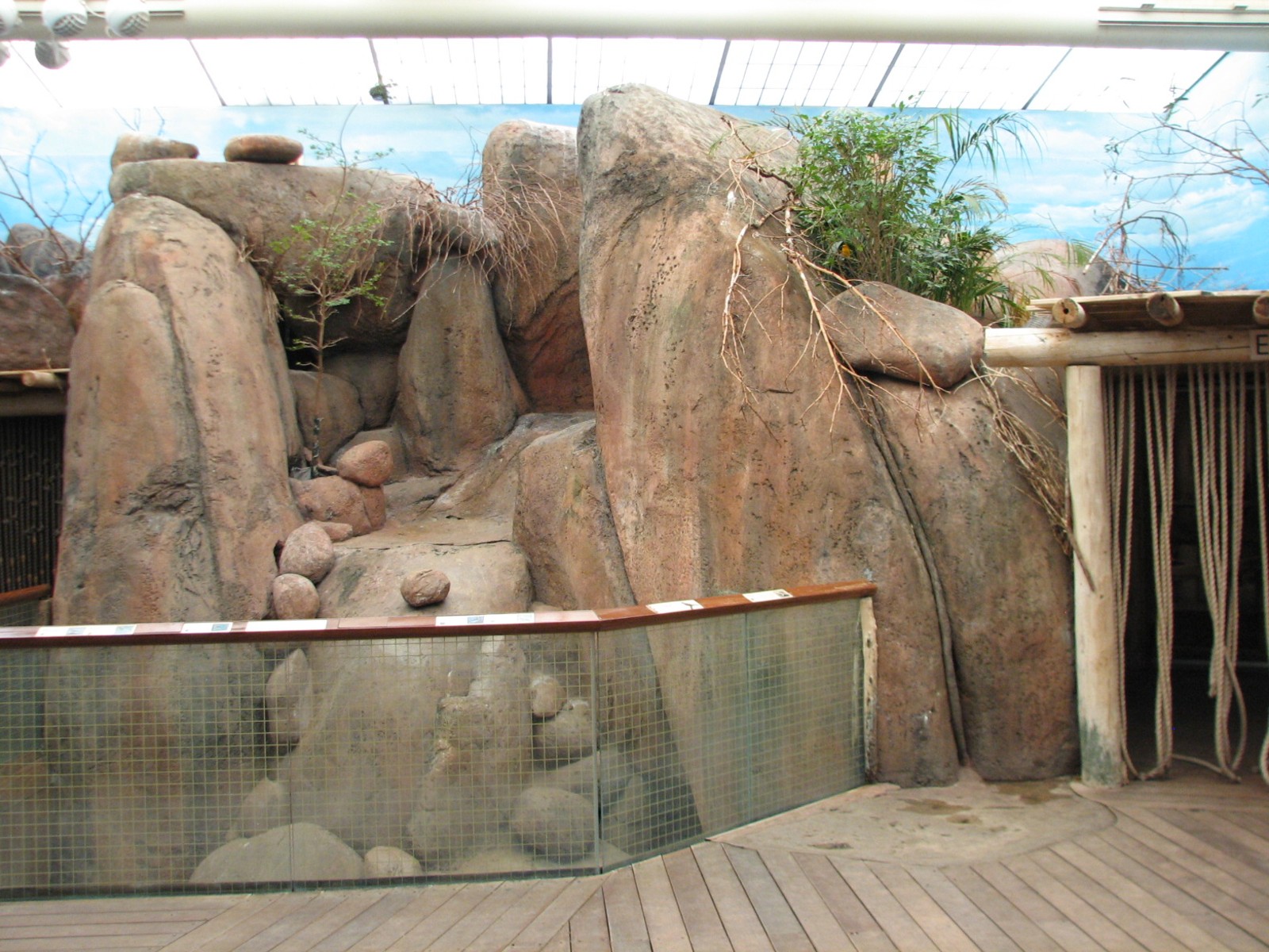 Habitat Africa! The Savannah - Klipspringer and Birds Exhibit 1