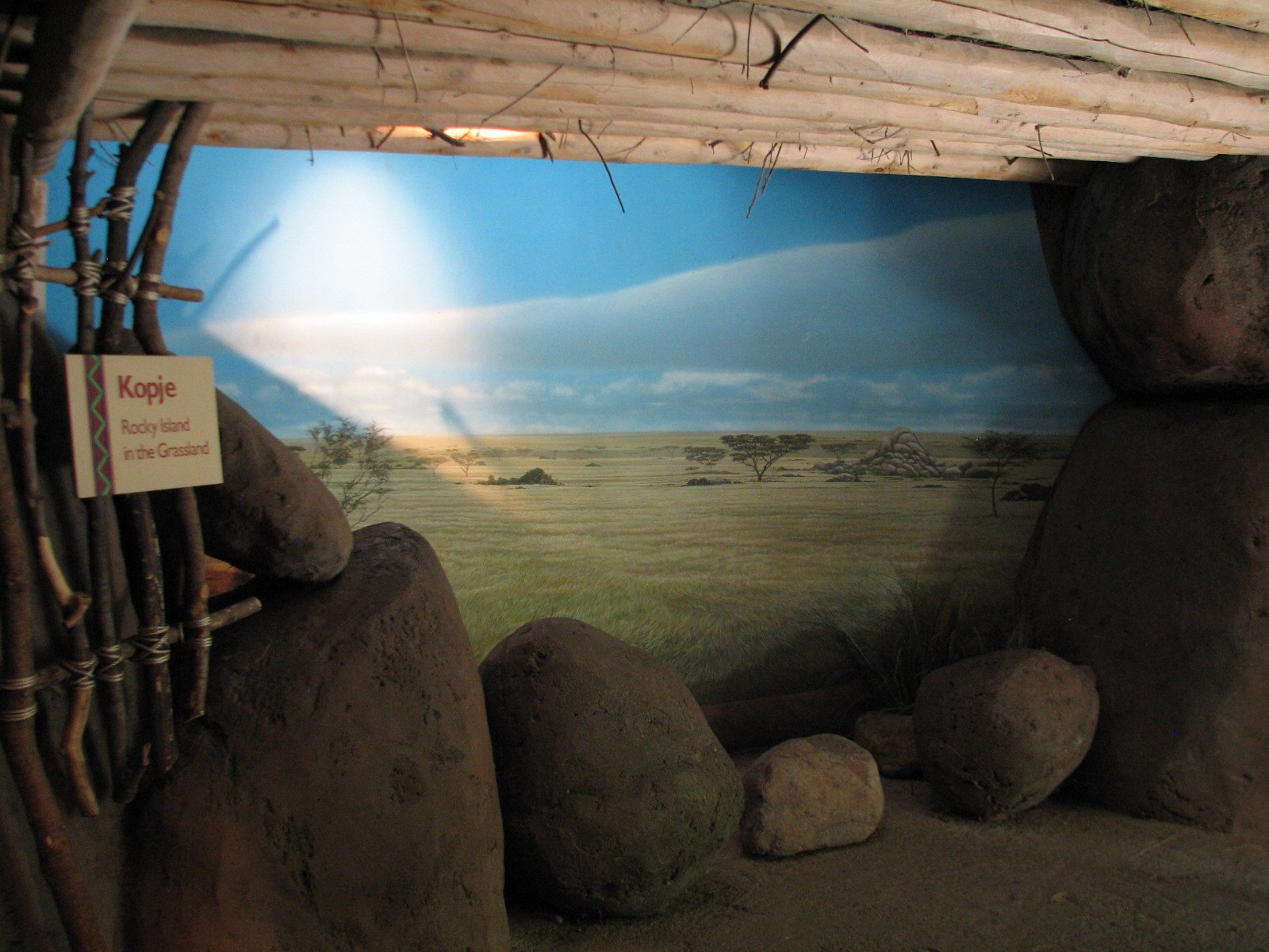 Habitat Africa! The Savannah - Kopje Exhibit Building Foyer