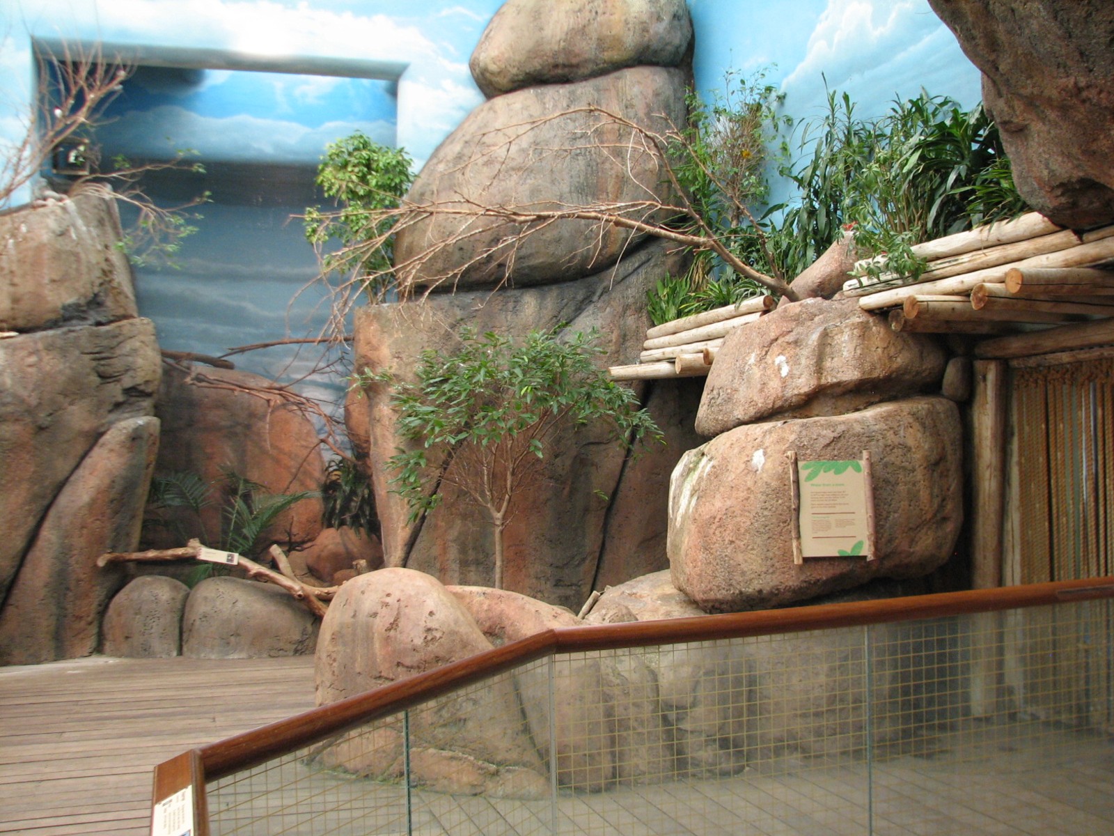 Habitat Africa! The Savannah - Kopje Exhibit Building Interior