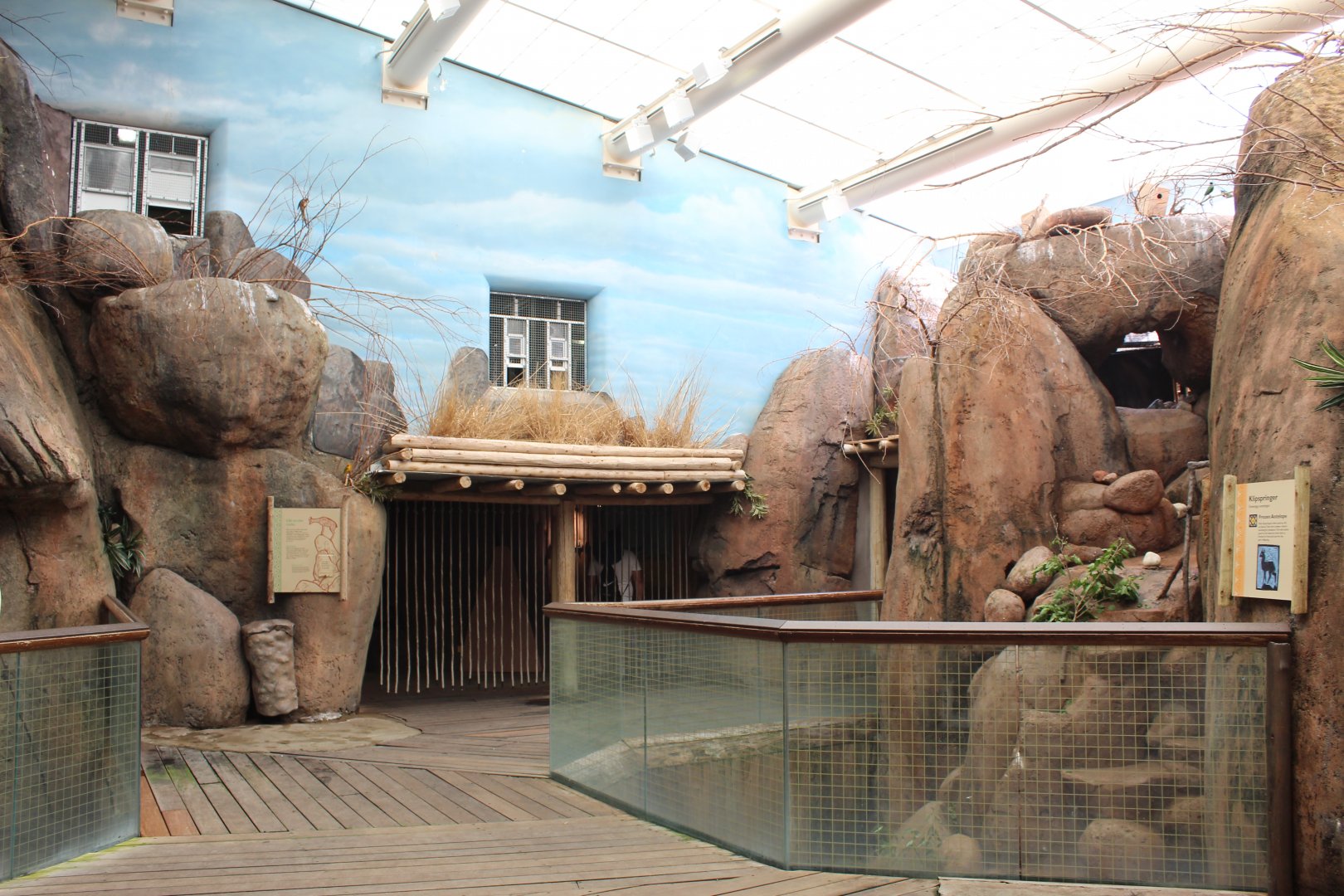 Habitat Africa: The Savannah - Kopje House