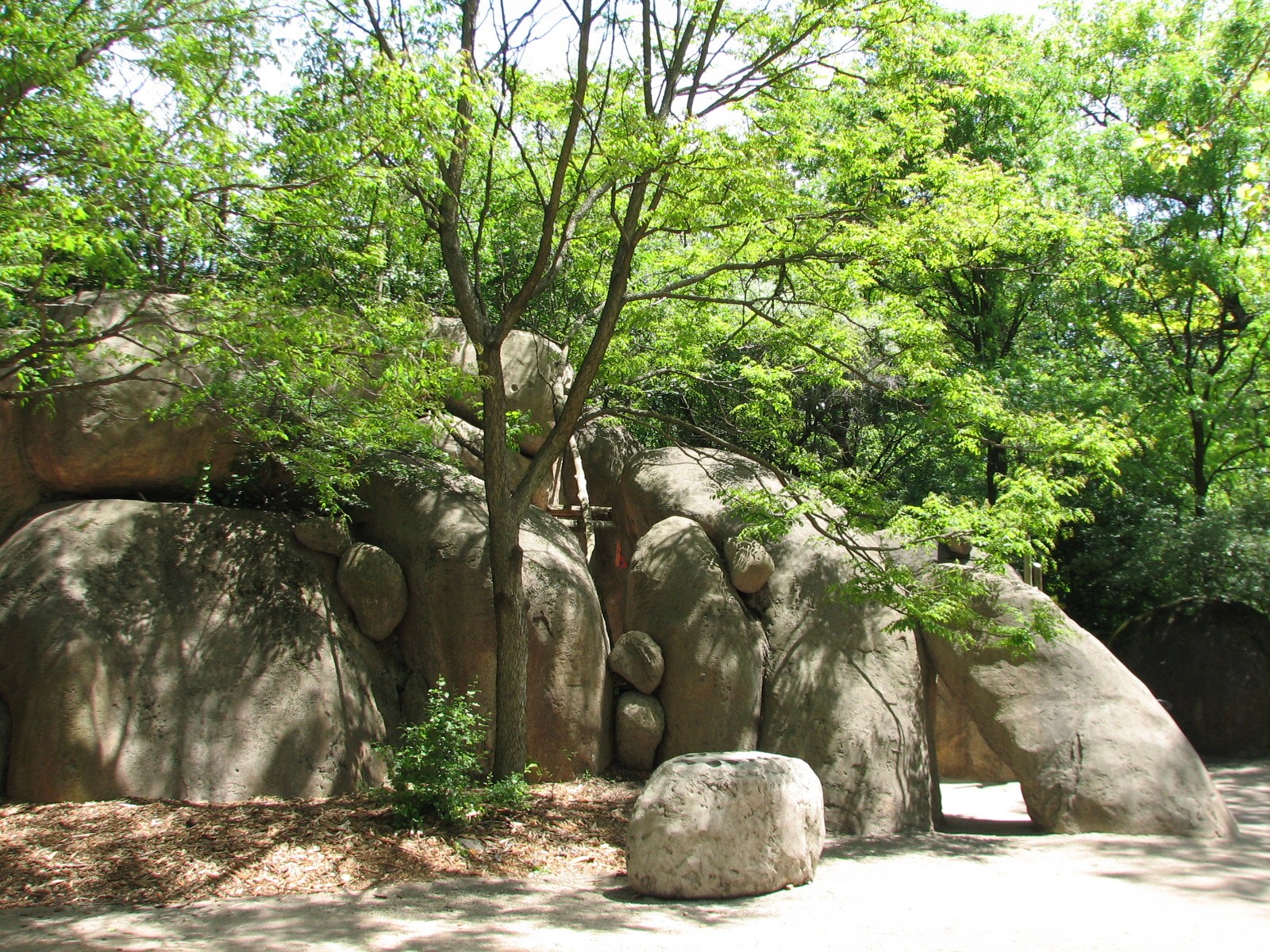 Habitat Africa! The Savannah - Kopje