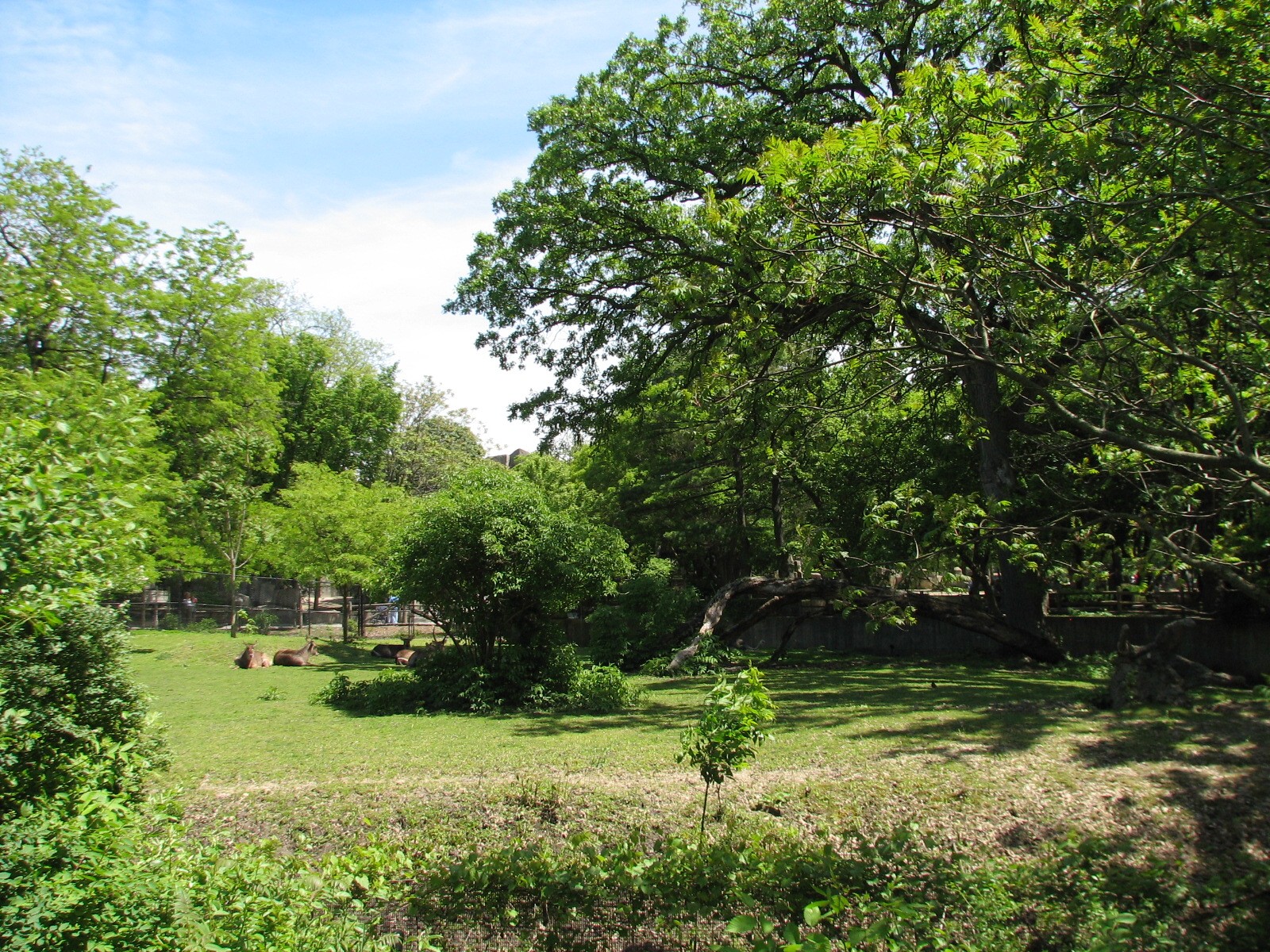 Habitat Africa! The Savannah - Warthog, Ostrich, and Waterbuck Exhibit
