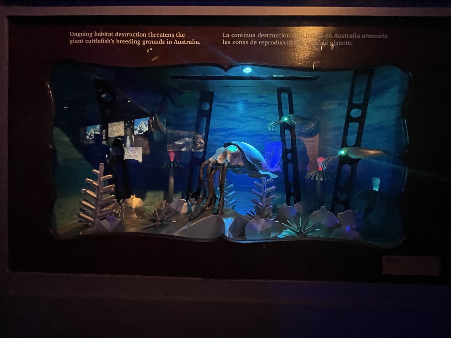 Habitat destruction (Nemo Gould)